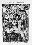 Artist: Gilfedder, F. | Title: Fan palms - Daintree | Date: 1991 | Technique: screenprint, printed in black ink, from one stencil