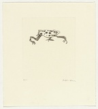 Artist: Law, Roger. | Title: Not titled [frog]. | Date: 2004 | Technique: aquatint, printed in black ink, from one plate