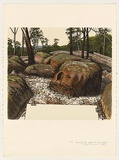 Artist: ROSE, David | Title: Drawing the bush at Ourimbah | Date: 1985 | Technique: screenprint, printed in colour, from multiple stencils