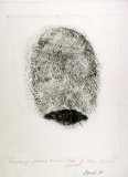 Artist: Moore, Mary. | Title: Busby. Close encounters of the fured kind | Date: 1980, April | Technique: mezzotint, printed in black ink, from zinc plate | Copyright: © Mary Moore