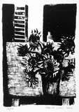 Artist: ROSE, David | Title: Sunflowers in vase | Date: 1964 | Technique: lithograph, printed in black ink, from one stone