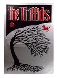 Artist: MERD INTERNATIONAL | Title: Poster: The Triffids | Date: 1984 | Technique: screenprint