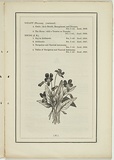 Title: not titled [viola betonicifolia]. | Date: 1861 | Technique: woodengraving, printed in black ink, from one block