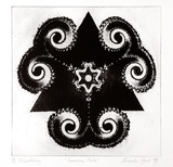 Artist: Hart, Amanda. | Title: Feminine male | Date: 1994 | Technique: photo-etching and aquatint, printed in black ink with plate-tone, from one plate