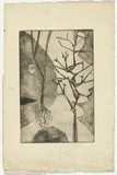 Artist: Cilento, Margaret. | Title: Trees in winter. | Date: 1949 | Technique: etching, aquatint, drypoint, printed in black ink with plate-tone, from one plate