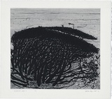 Artist: Kluge-Pott, Hertha. | Title: Melaleuka page 4. | Date: 2005 | Technique: etching and drypoint, printed in black ink with plate-tone, from one plate