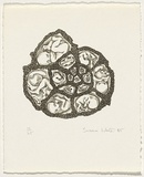 Artist: White, Susan Dorothea. | Title: Growth spiral | Date: 1985 | Technique: lithograph, printed in black ink, from one stone [or plate]