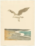 Artist: GRIFFITH, Pamela | Title: Fishing | Date: 1987 | Technique: hardground-etching, aquatint and burnishing, printed in colour, from three shaped zinc plates | Copyright: © Pamela Griffith