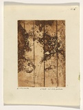 Artist: WILLIAMS, Fred | Title: Landscape panel. Number 2 | Date: 1962 | Technique: sugar aquatint, engraving and drypoint, printed in sepia ink, from one zinc plate | Copyright: © Fred Williams Estate