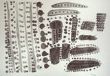 Artist: Tipungwuti, Conrad. | Title: Yinkiti (food) | Date: 2001, January | Technique: lithograph, printed in black ink, from one aluminium plate | Copyright: © Conrad Tipungwuti, Jilamara Arts and Craft