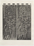 Artist: MADDOCK, Bea | Title: Hanging Tracks One Two | Date: 1975, August | Technique: etchuing, aquatint, photo-etching, printed in black ink, from three plates