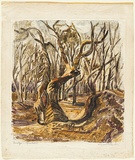 Artist: PRESTON, Margaret | Title: Stephen's Creek, NSW. | Date: 1946 | Technique: monotype, printed in colour, from one masonite sheet | Copyright: © Margaret Preston. Licensed by VISCOPY, Australia