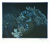 Artist: GRIFFITH, Pamela | Title: The giant clam (blue) | Date: 1981 | Copyright: © Pamela Griffith