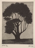 Artist: Atkins, Ros. | Title: Dark tree | Date: 2000, November | Technique: engraving, printed in black ink, from one copper plate