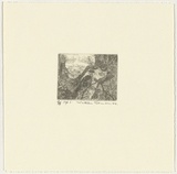 Artist: Robinson, William. | Title: Springbrook 5 | Date: 1999 | Technique: etching, printed in brown ink, from one plate