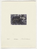 Artist: Cullen, Adam. | Title: Breeding | Date: 2002 | Technique: etching, printed in colour, from two plates