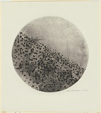 Artist: WILLIAMS, Fred | Title: Circle landscape, Upwey. | Date: 1965-66 | Technique: etching, flat biting, engraving, drypoint, mezzotint rocker, printed in black ink, from one zinc plate | Copyright: © Fred Williams Estate