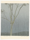 Artist: ROSE, David | Title: Eucalypt in rain | Date: 1977 | Technique: screenprint, printed in colour, from multiple stencils