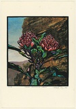 Title: Telopea speliosissima - waratah | Date: 1990 | Technique: screenprint, printed in colour, from multiple stencils