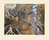 Artist: Robinson, William. | Title: Twin Falls | Date: 2000 | Technique: lithograph, printed in colour, from ten stones [or plates]