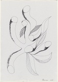 Artist: Burns, Peter. | Title: Leaf hand. | Date: 1987 | Technique: photocopy, printed in black ink | Copyright: © Peter Burns
