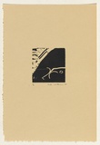 Artist: Withers, Rod. | Title: Woodcut: from the set Australian birds of prey or the rogue sparrow | Date: 1979 | Technique: woodcut, printed in black ink, from one block