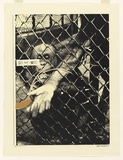 Artist: Whiteley, Brett. | Title: Swinging monkey [2]. | Date: 1965 | Technique: screenprint, printed in colour, from three stencils | Copyright: This work appears on the screen courtesy of the estate of Brett Whiteley