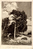 Artist: LINDSAY, Lionel | Title: Diana | Date: 1907 | Technique: etching and aquatint, printed in warm black ink, from one plate | Copyright: Courtesy of the National Library of Australia