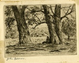 Artist: Farmer, John. | Title: Old gums. | Date: 1950 | Technique: etching, printed in black/brown ink with plate-tone, from one  plate