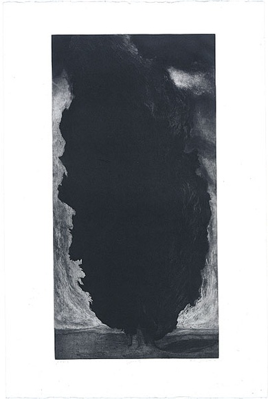 Artist: Johnstone, Ruth. | Title: Cypress III | Date: 1986 | Technique: etching, printed in black ink, from one plate