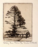 Artist: McDonald, Sheila. | Title: Study, Emu Plains | Date: c.1935 | Technique: etching printed in light brown