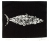 Artist: Shepherdson, Gordon. | Title: The Mackerel: Number one | Date: 1979 | Technique: etching and aquatint, printed in colour with plate-tone, from one plate