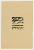 Artist: Withers, Rod. | Title: Woodcut: from the set Australian birds of prey and the rogue sparrow | Date: 1979 | Technique: woodcut, printed in black ink, from one block