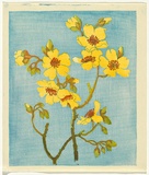 Artist: Allport, C.L. | Title: Kapok flower. | Date: c.1932 | Technique: linocut, printed in colour, from multiple blocks