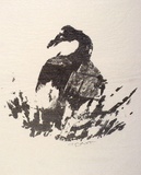 Artist: Cant, James. | Title: Grey goose. | Date: 1973 | Technique: screenprint, printed in grey ink, from one stencil