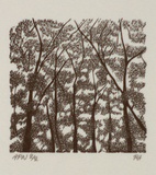 Artist: Atkins, Ros. | Title: (IB) | Date: 1996, July | Technique: wood engraving, printed in black ink, from one block