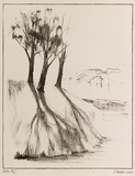 Artist: Cooke, Warren. | Title: not titled [trees on embankment] | Date: 2001, 27 July | Technique: lithograph, printed in black ink, from one stone