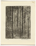 Artist: WILLIAMS, Fred | Title: Sherbrooke Forest. Number 5 | Date: 1962 | Technique: etching, engraving, drypoint and foul biting, printed in black ink, from one zinc plate | Copyright: © Fred Williams Estate