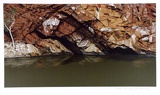 Artist: ROSE, David | Title: Rock pool, Ormiston Gorge | Date: 1990 | Technique: screenprint, printed in colour, from multiple stencils
