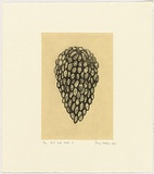 Artist: Watson, Judy. | Title: Fruit and seeds 2 | Date: 2000 | Technique: etching, printed in black ink, from one plate; chine collé