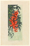 Artist: EWINS, Rod | Title: Tropical flower. | Date: 1965 | Technique: woodcut, printed in colour, from three English maple plankes
