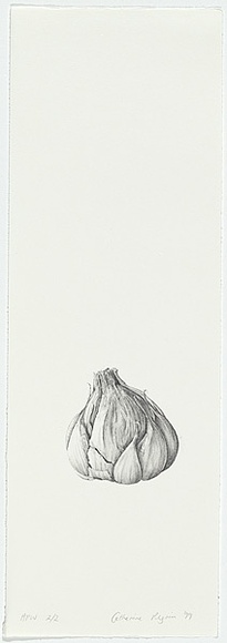 Artist: Pilgrim, Catherine. | Title: not titled [garlic] | Date: 1998, November | Technique: lithograph, printed in black ink, from one stone