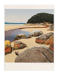 Artist: ROSE, David | Title: At Tidal River, Wilson's Promontory | Date: 1998 | Technique: screenprint, printed in colour, from multiple screens