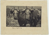 Artist: LINDSAY, Lionel | Title: Yoke mates | Date: 1923 | Technique: wood-engraving, printed in black ink, from one block | Copyright: Courtesy of the National Library of Australia