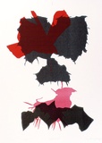 Artist: Buckley, Sue. | Title: Red bird. | Date: 1981 | Technique: screenprint, printed in colour, from multiple stencils | Copyright: This work appears on screen courtesy of Sue Buckley and her sister Jean Hanrahan