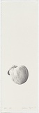 Artist: Pilgrim, Catherine. | Title: not titled [peach] | Date: 1999, February | Technique: lithograph, printed in black ink, from one stone