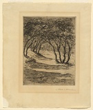 Artist: Wilson, Dora. | Title: Ti tree shade. | Date: c.1905 | Technique: etching, printed in black ink, from one plate