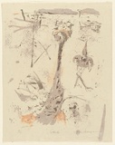 Artist: MACQUEEN, Mary | Title: Ostrich | Date: 1975 | Technique: lithograph, printed in colour on recto and verso, from multiple plates | Copyright: Courtesy Paulette Calhoun, for the estate of Mary Macqueen
