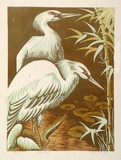 Artist: Higgs, Florence. | Title: Herons | Date: c.1954 | Technique: linocut, printed in colour, from four blocks | Copyright: Unable to display image
due to Copyright Restrictions