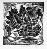 Artist: OGILVIE, Helen | Title: Banksia | Date: c.1942 | Technique: wood-engraving, printed in black ink, from one block